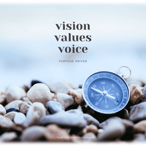 Vision Values Voice image